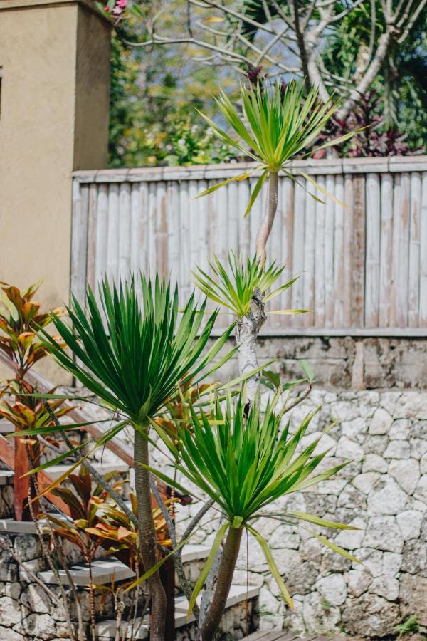 Shrining Cottages Lembongan Extérieur photo